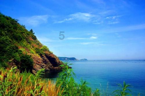 逃出白海豹洞